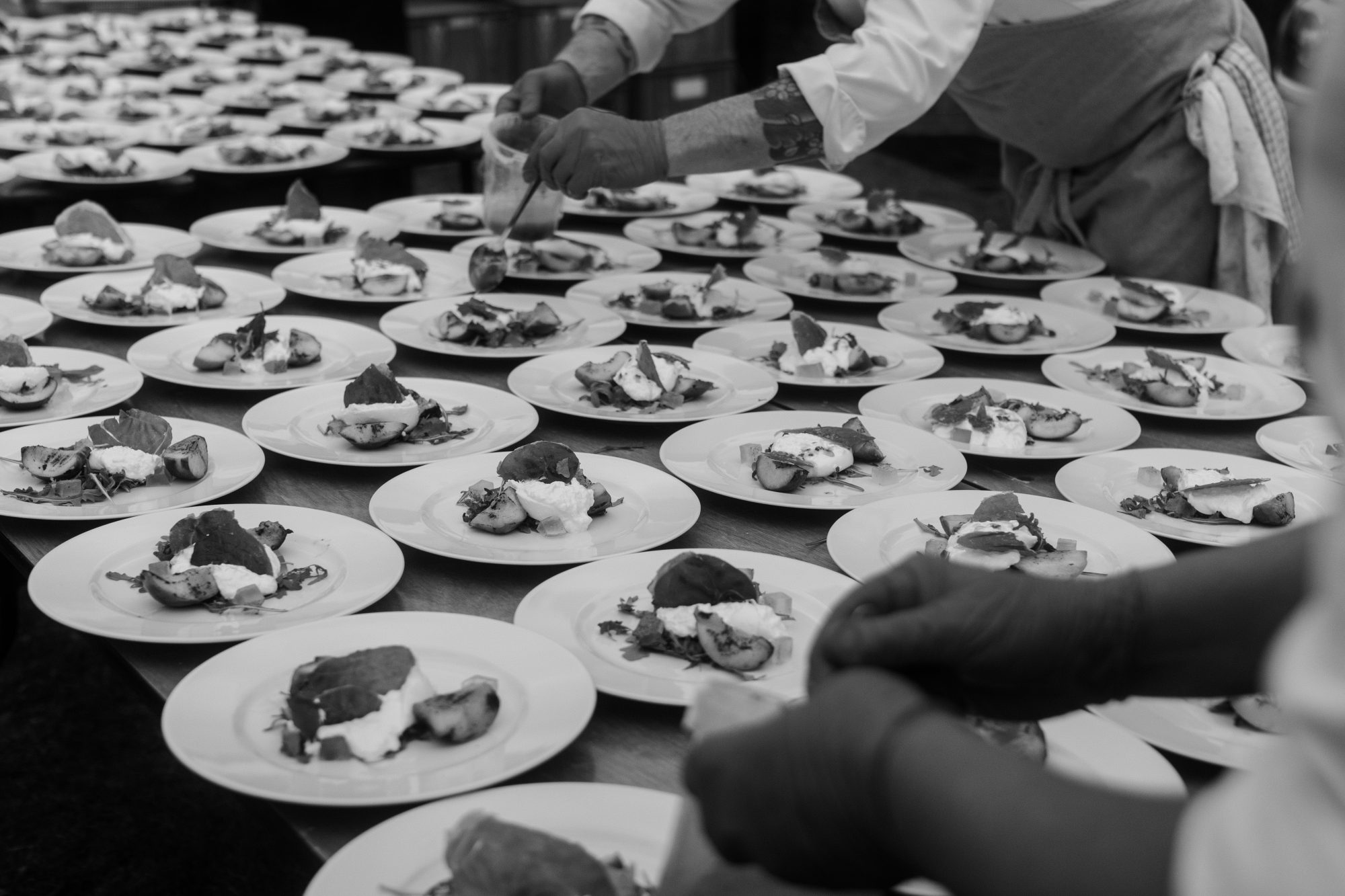 Plating up — our team at work