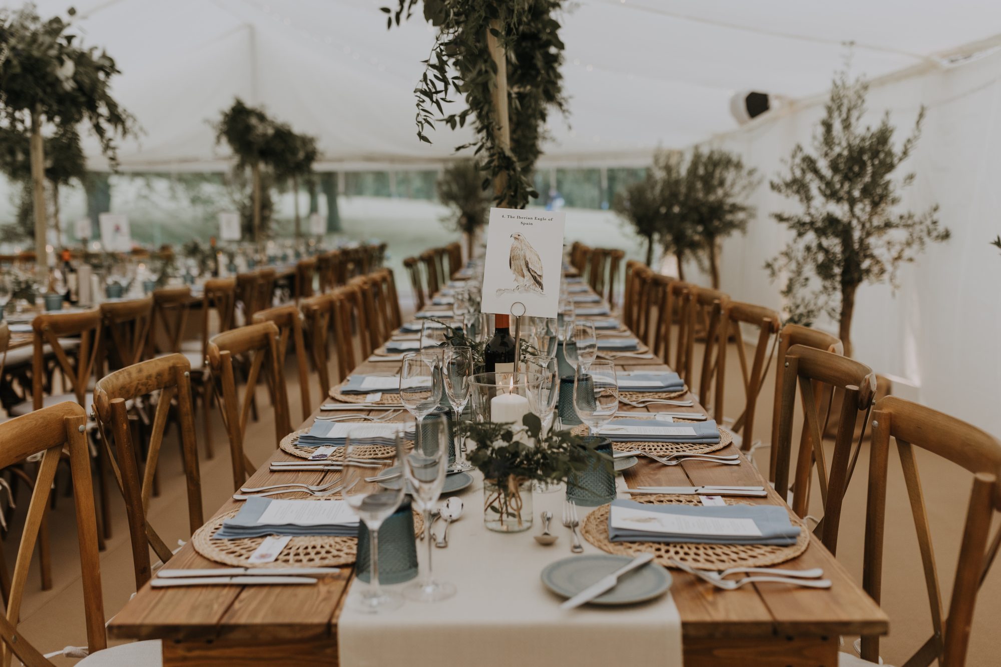 The top table, set among olive trees