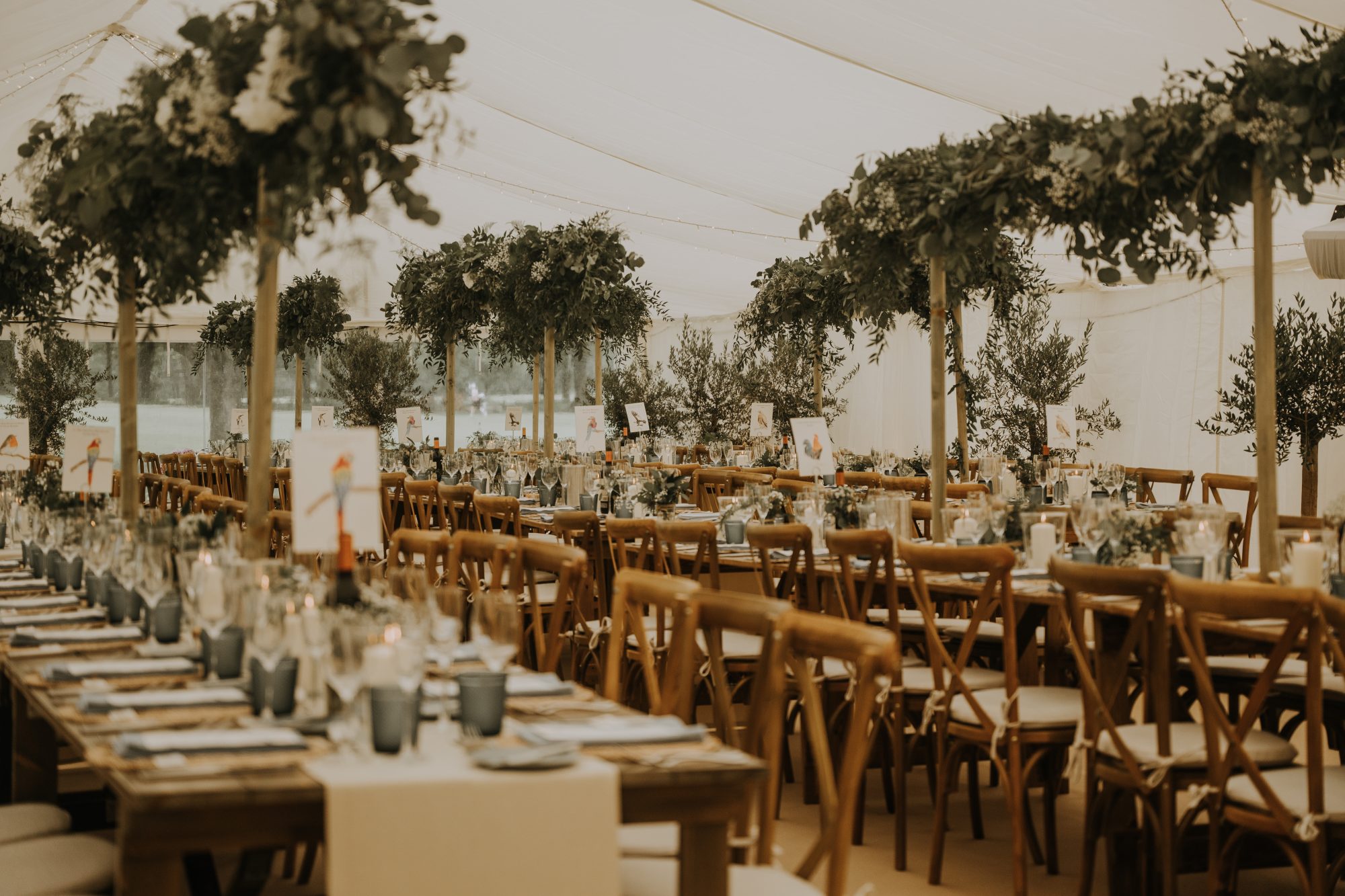 A marquee reception in full bloom