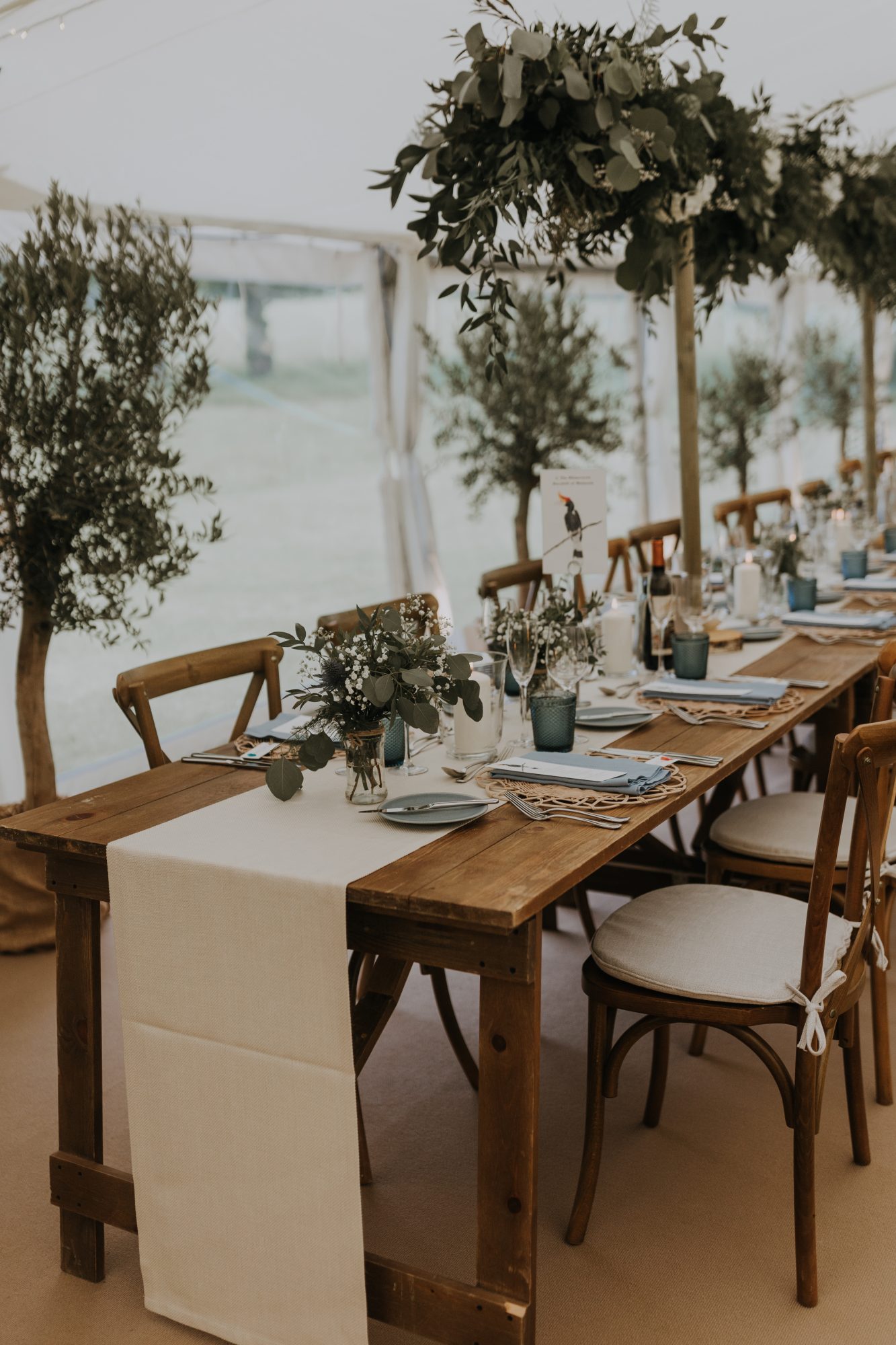 Long tables and olive trees, with the Surrey lawns beyond